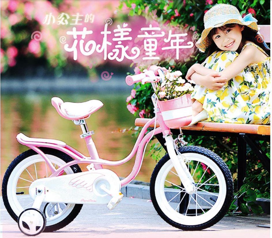 Xe đạp Trẻ Em Royalbaby Little Swan Giá Rẻ, Chính Hãng